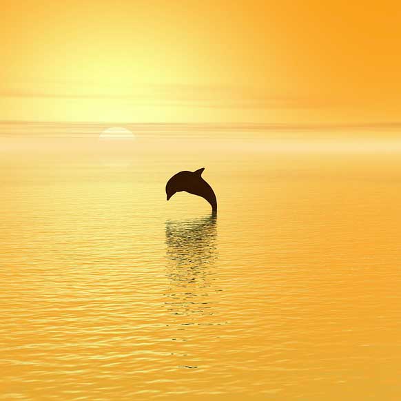 Monique Sorin, diplômée sophrologue à Fontenay-le-Comte